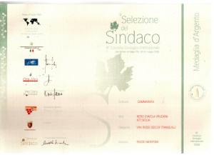 sindaco09